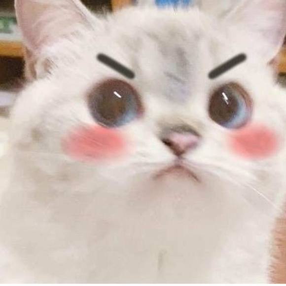 Poshmark profile picture for @unhappy